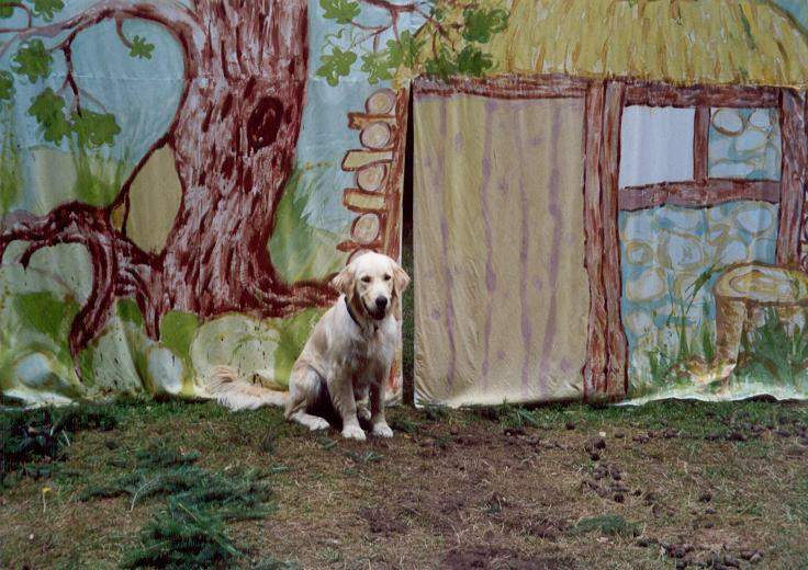 Karštejn 2001 Image 13