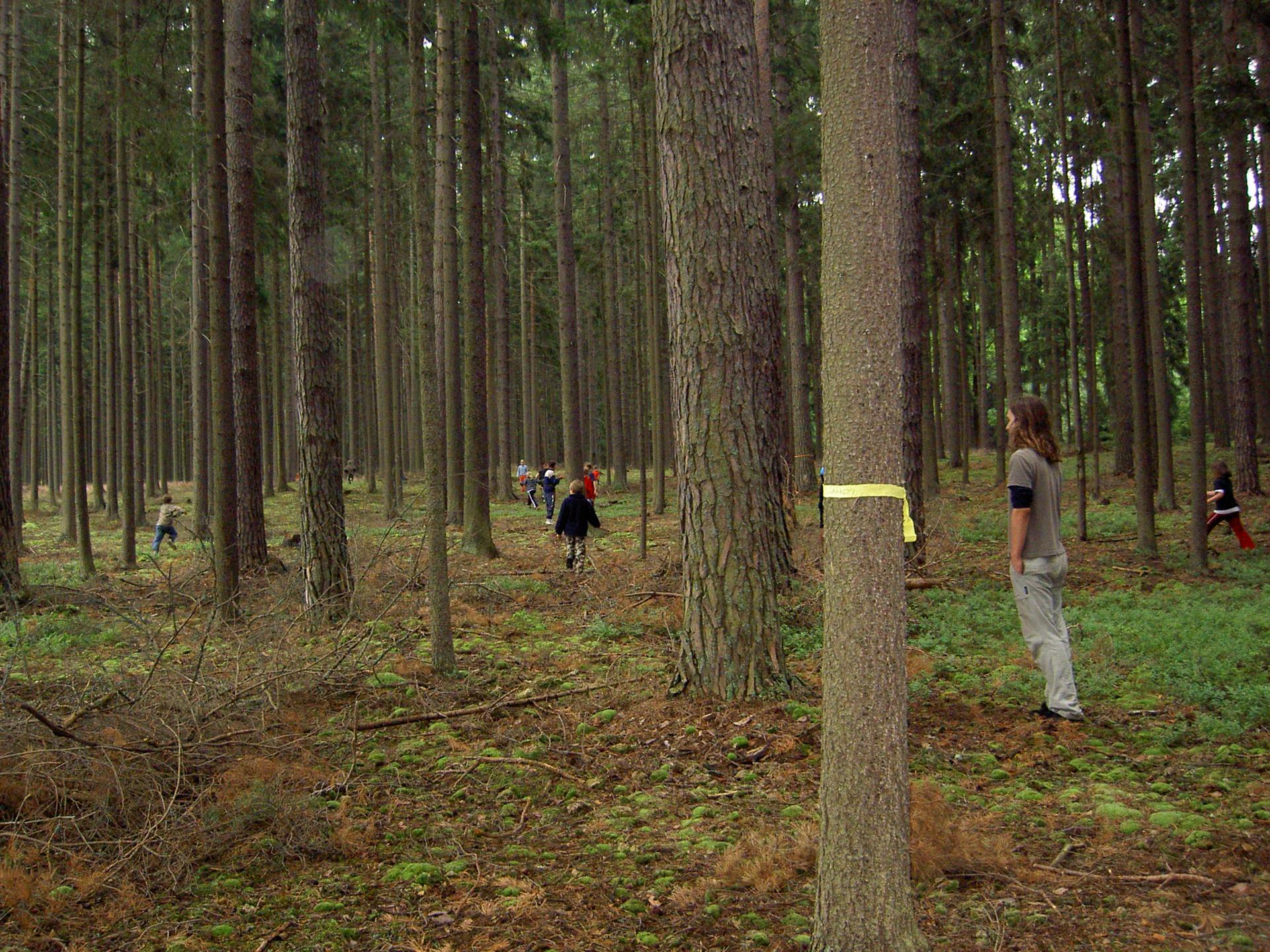 Karštejn 2007 Image 61