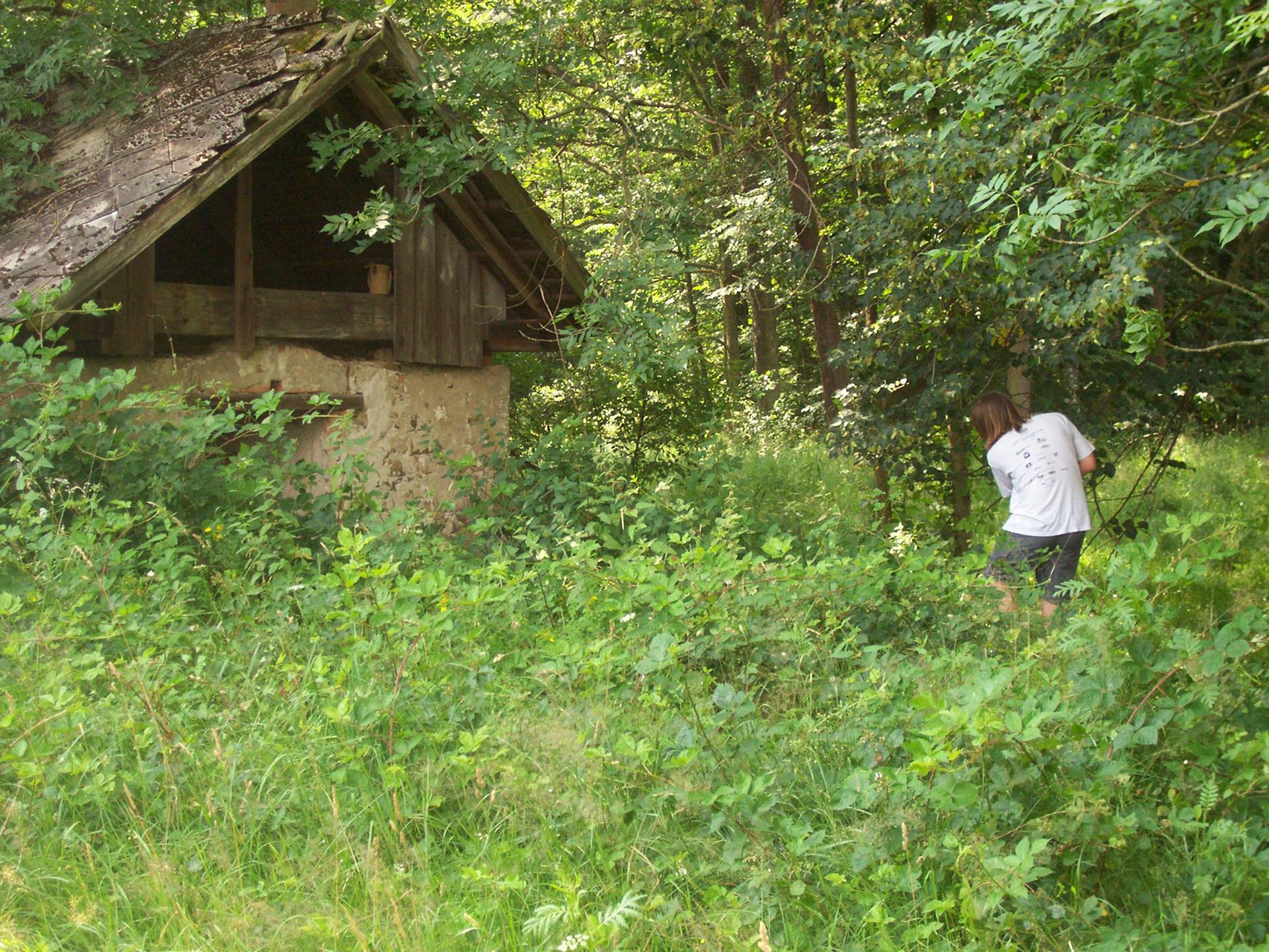 Karštejn 2009 Image 165