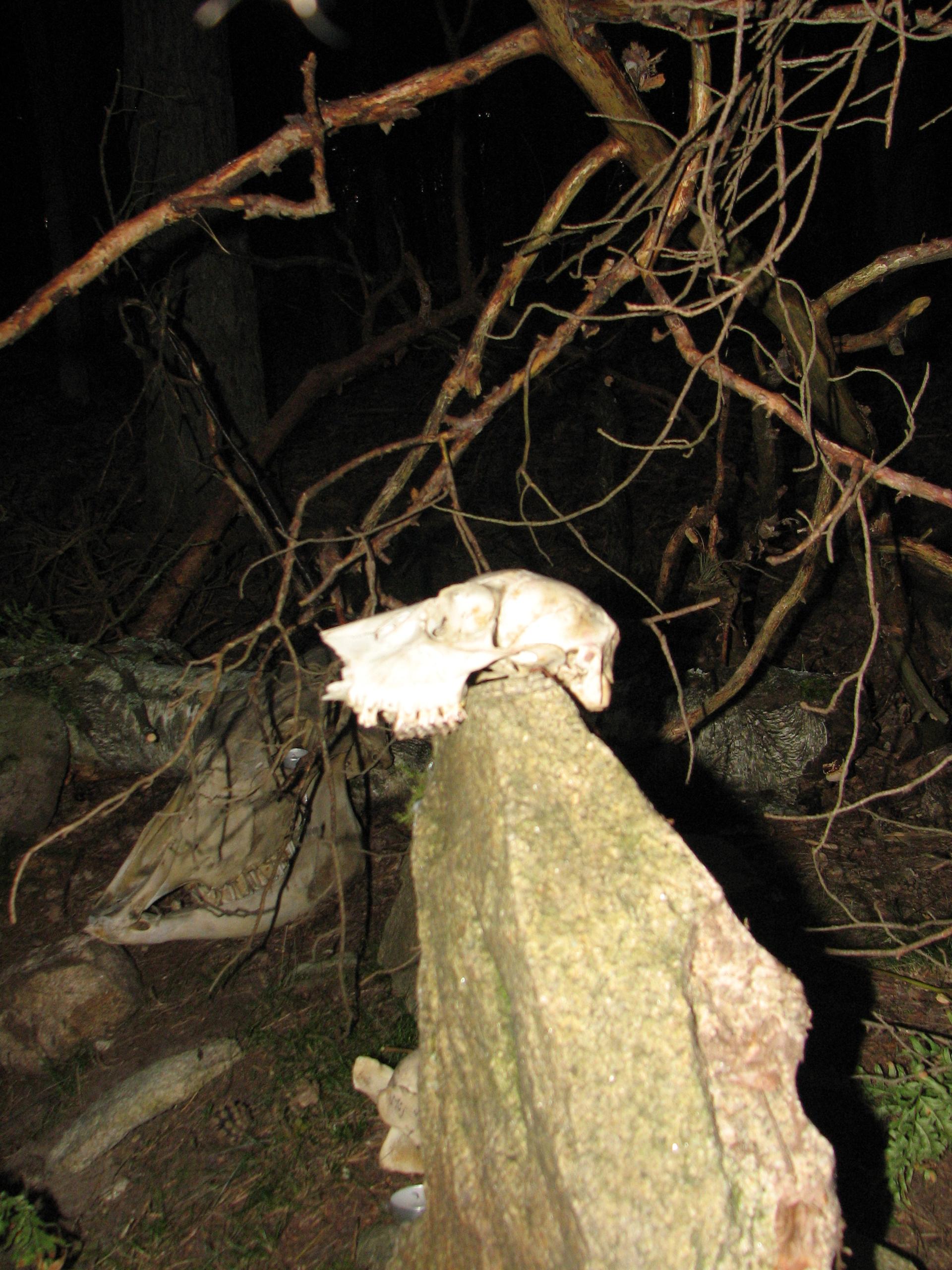 Karštejn 2009 Image 201