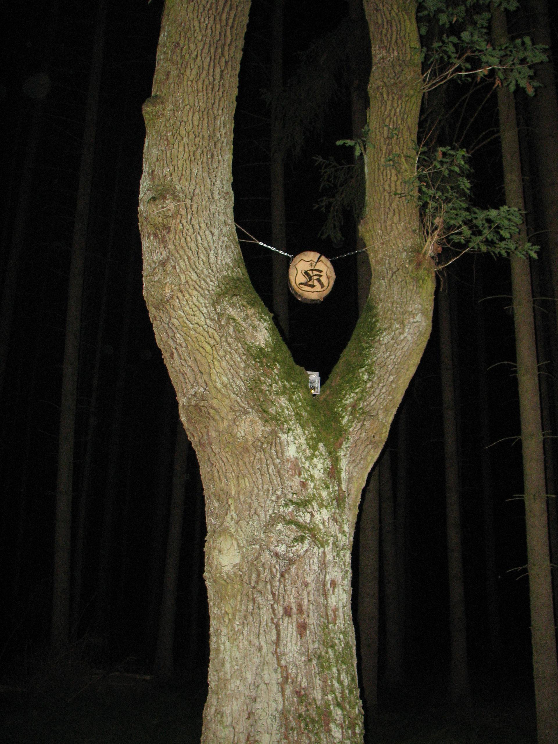 Karštejn 2009 Image 207