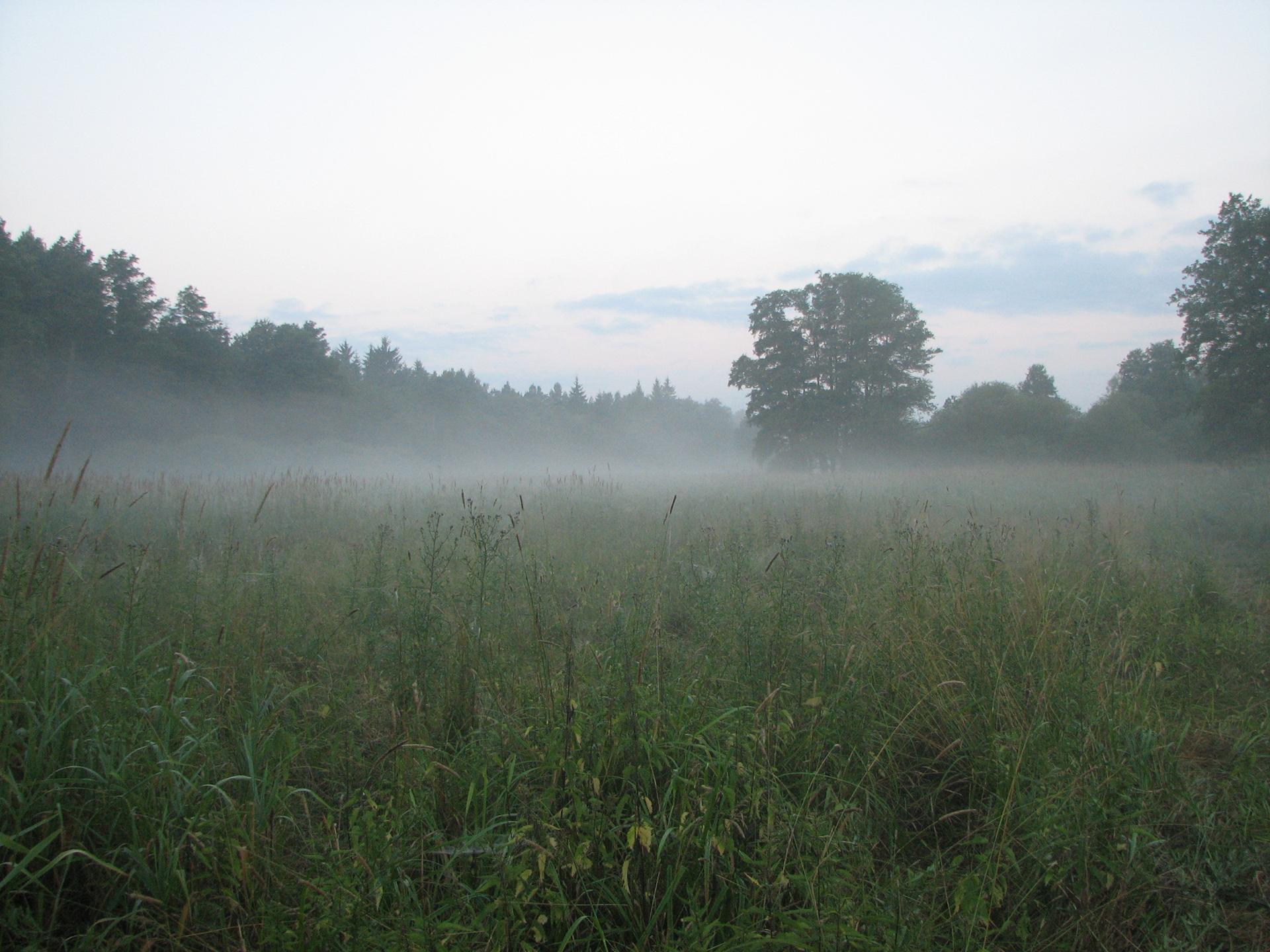 Karštejn 2010 Image 140