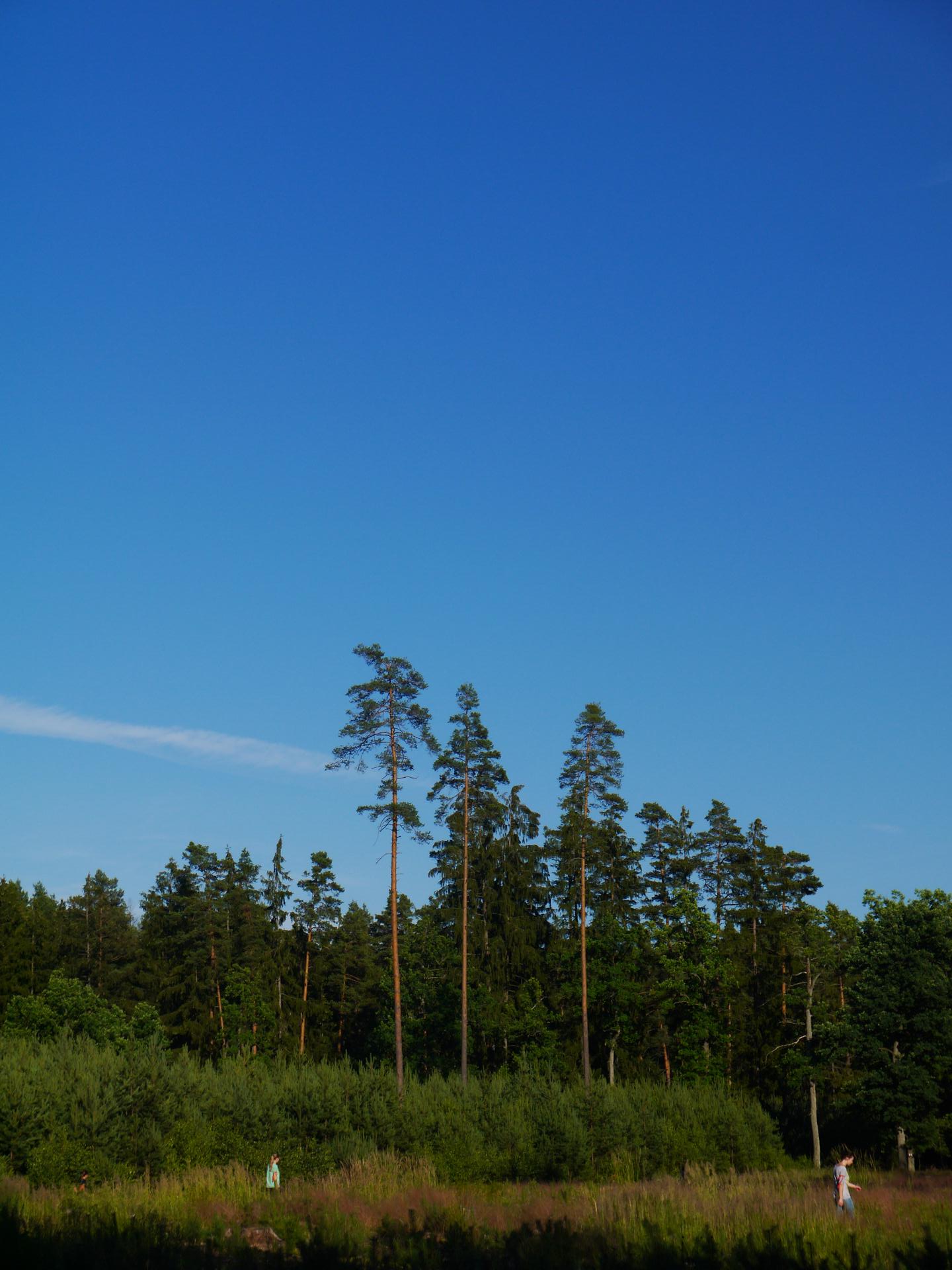 Karštejn 2015 Image 74