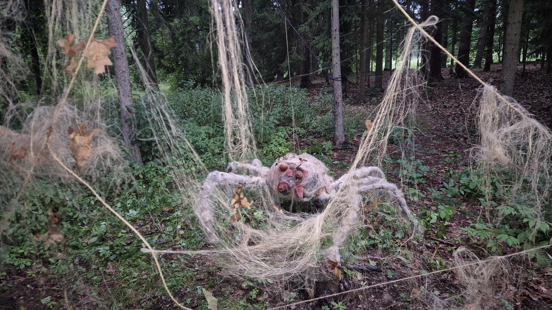 Karštejn 2025 Image 13