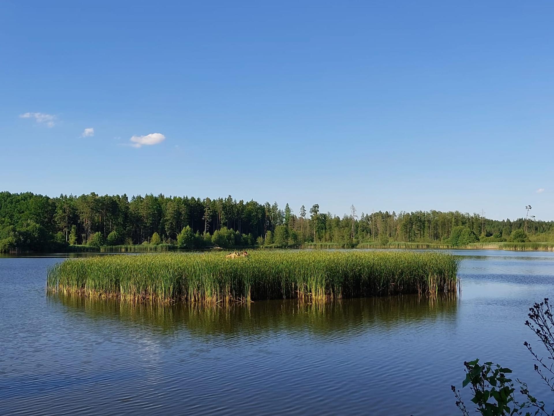 Karštejn 2025 Image 21